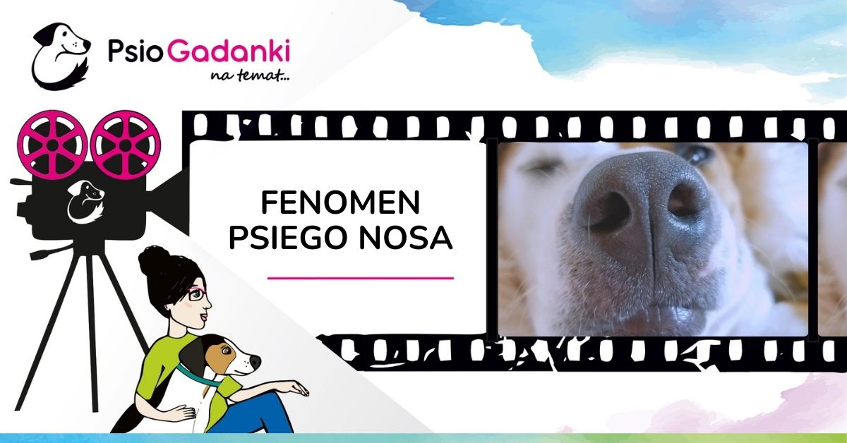 FENOMEN PSIEGO NOSA