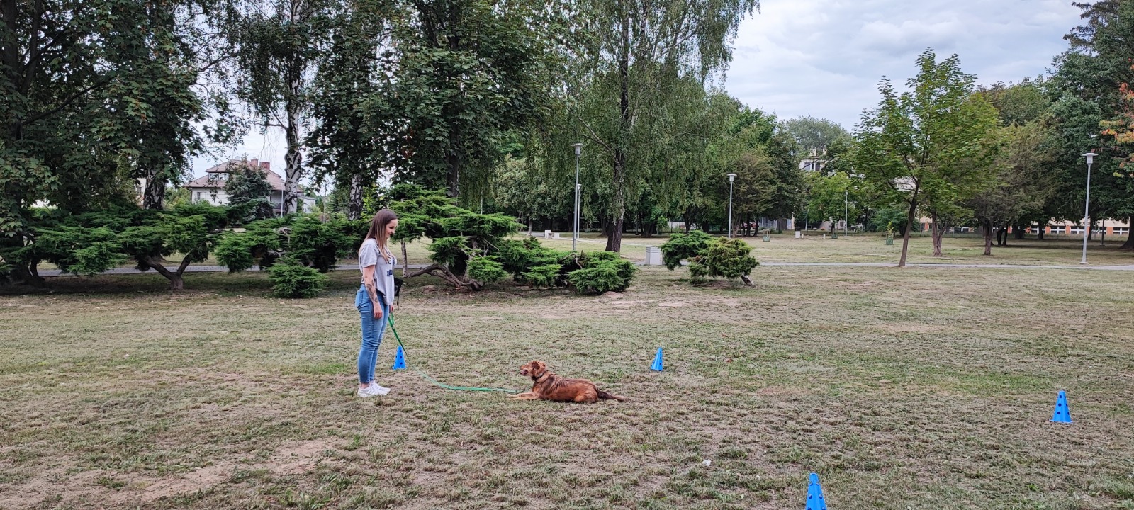 trener-psow-rzeszow