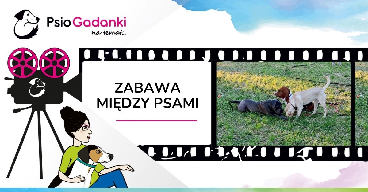 ZABAWA MIĘDZY PSAMI