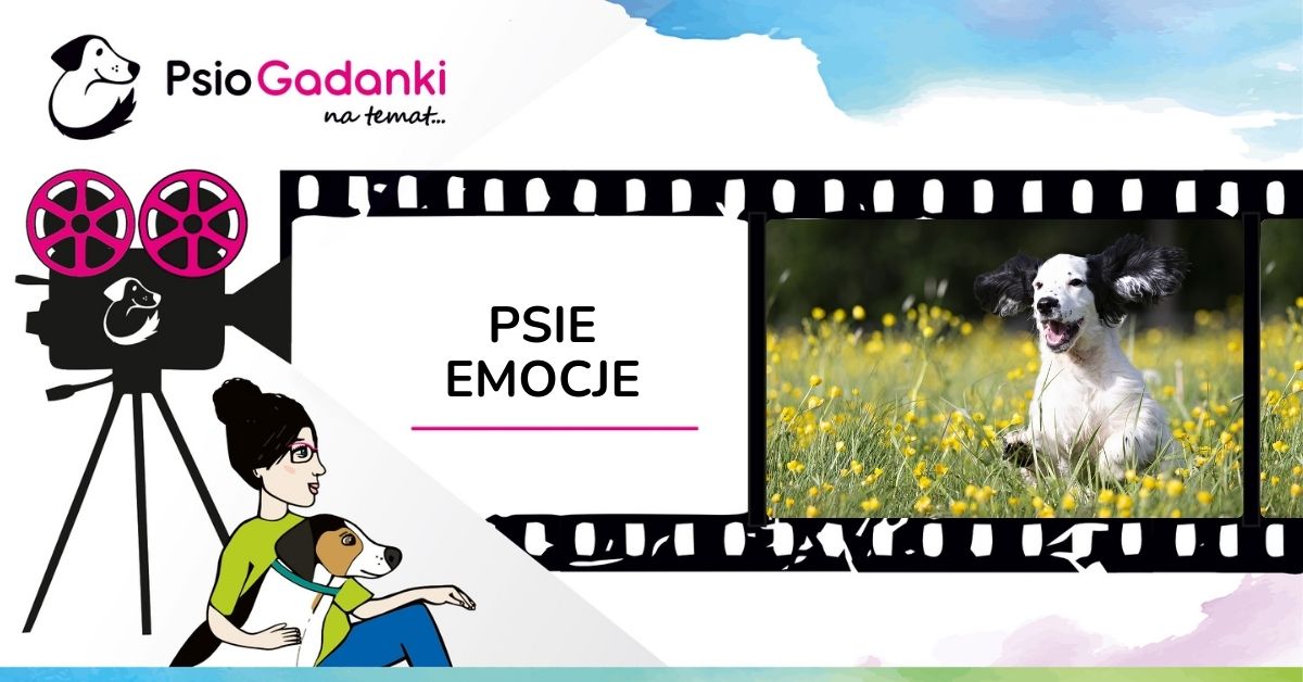 Psiogadanki: Psie emocje
