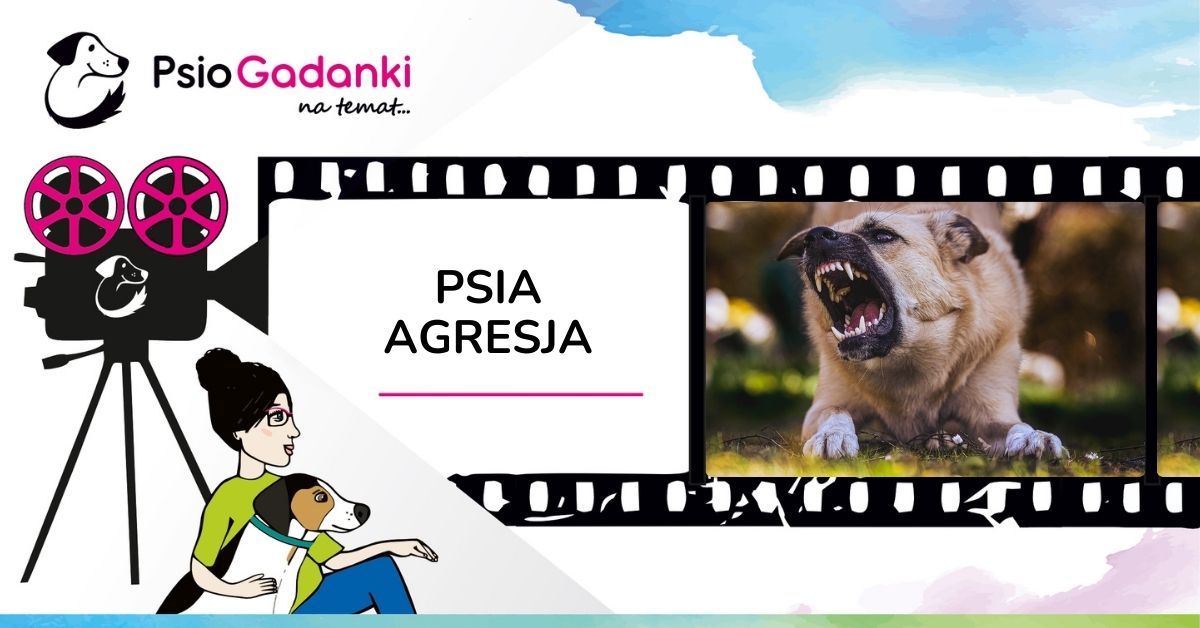 Psiogadanki- psia agresja