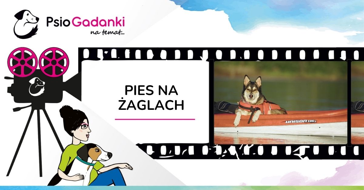 Psiogadanki_pies na żaglach