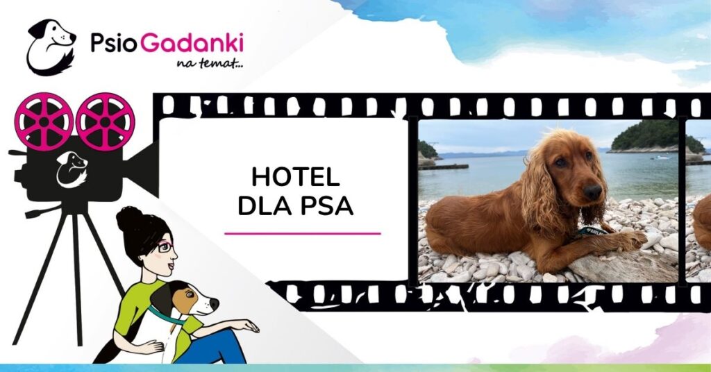 PSIOGADANKI_HOTEL DLA PSA